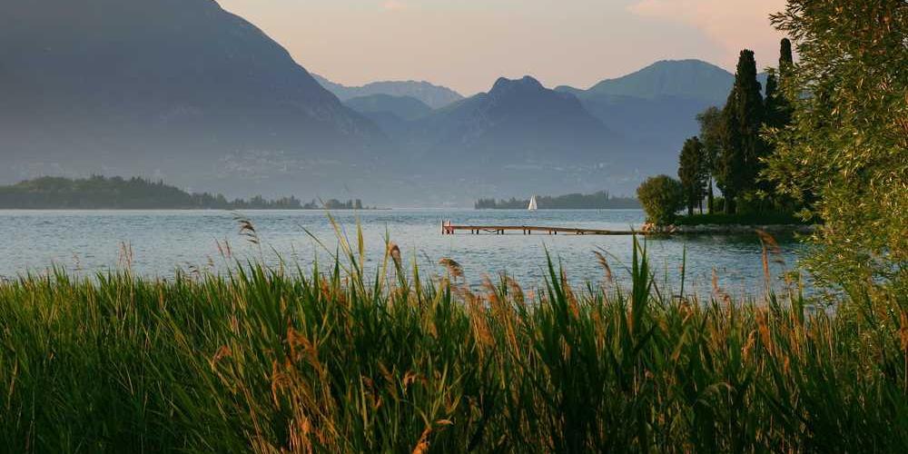 Exempelartikel: Hur man bygger ett enkelt [projekt]