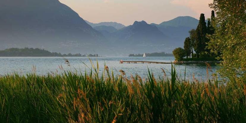 Exempelartikel: Hur man bygger ett enkelt [projekt]